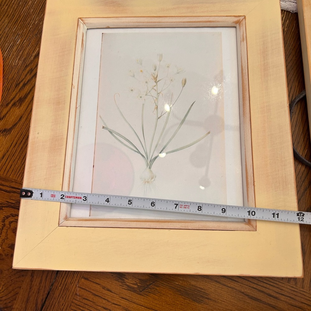 Natural Wood Framed Botanical Prints Set - Picture 7 of 9